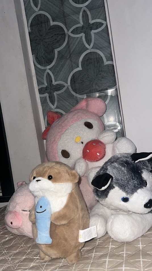 Nuestros bebes